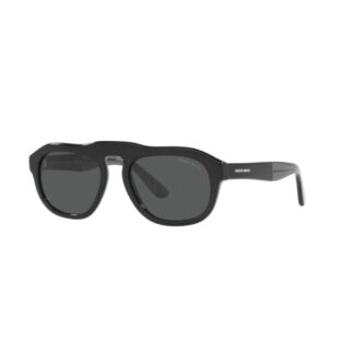 Black Acetate Sunglasses